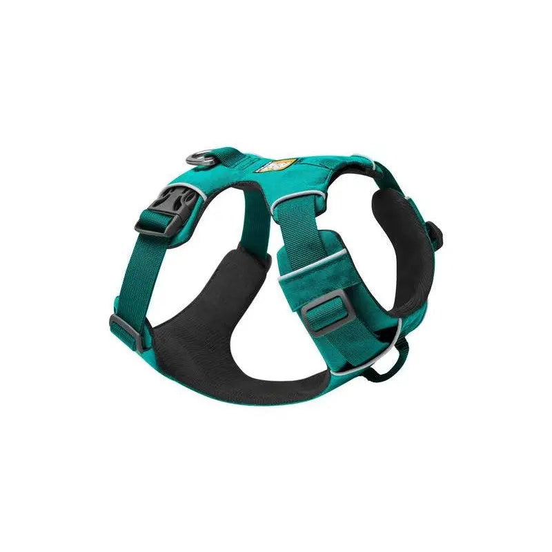 Adjustable teal dog harness for comfort and control during walks and outdoor activities.