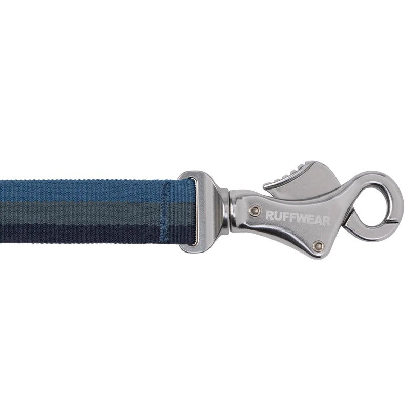 Ruffwear Roamer Bungee Dog Leash - Orion Blue