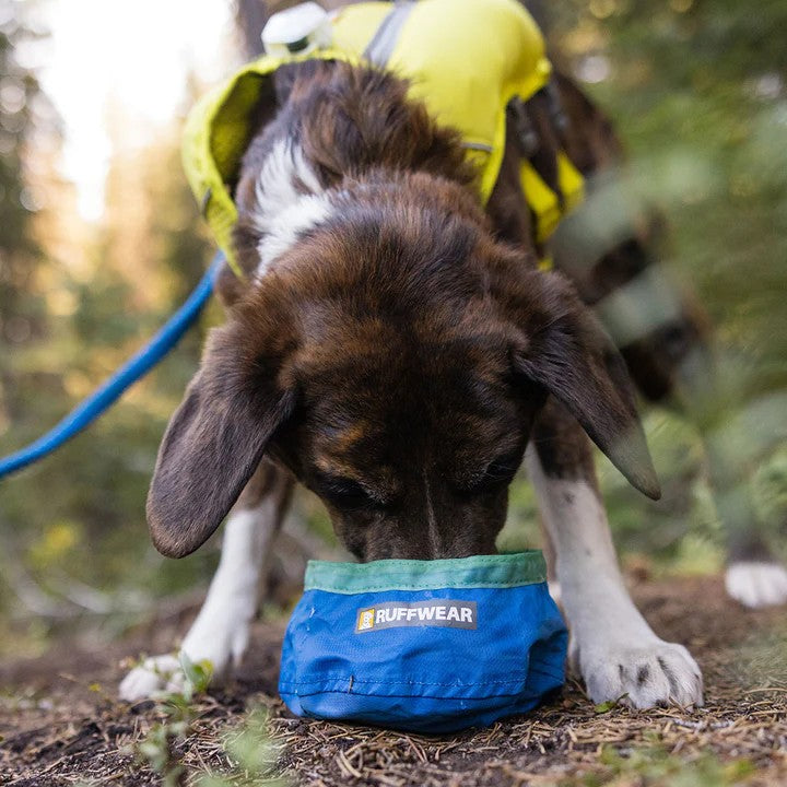 Ruffwear Trail Runner Ultralight Dog Bowl - lifestyle image with pet South Africa orders