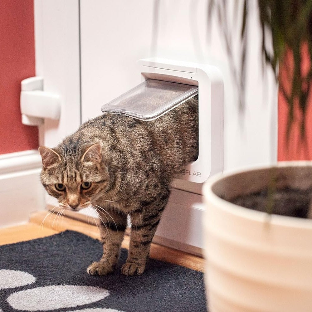 Sureflap Microchip Cat Flap White Lifestyle Image with Cat