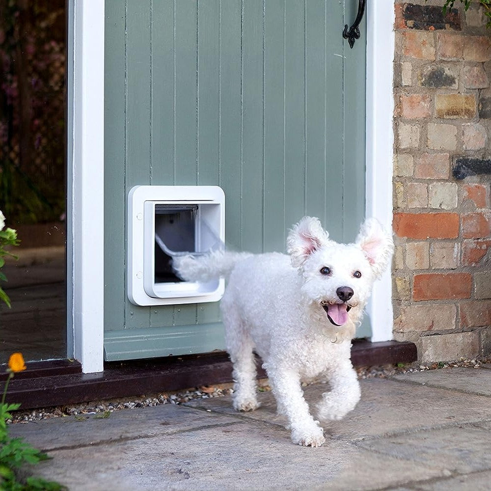 Sureflap Microchip Pet Door Lifestyle Image with Dog