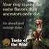 Taste of the Wild Canine Sierra Mountain Dry Food