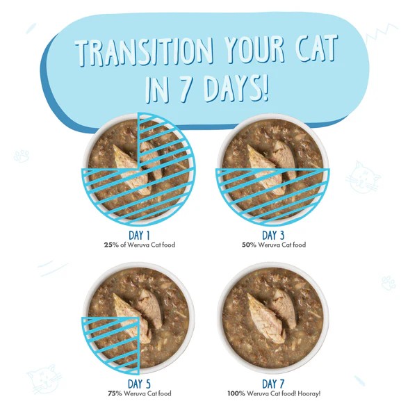 Weruva Canned Cat Food - Mack & Jack - lifestyle image with pet SA online