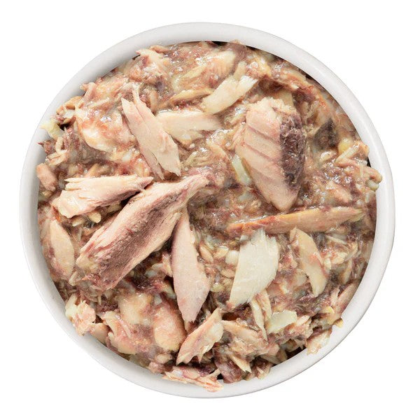 Weruva Canned Cat Food - Mideast Feast - lifestyle image with pet South Africa store