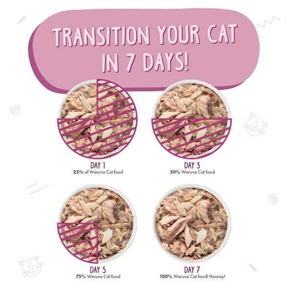 Weruva Canned Cat Food - Mideast Feast - lifestyle image with pet South Africa ecommerce