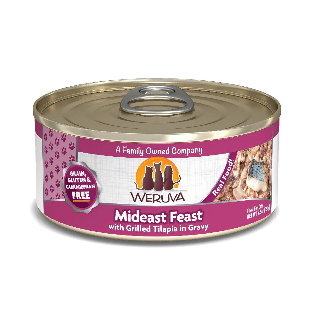 Weruva Canned Cat Food - Mideast Feast - lifestyle image with pet South Africa buy now