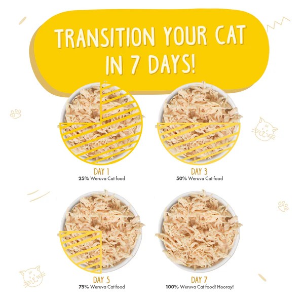 Weruva Canned Cat Food - Paw Lickin' Chicken - lifestyle image with pet South African pet owners