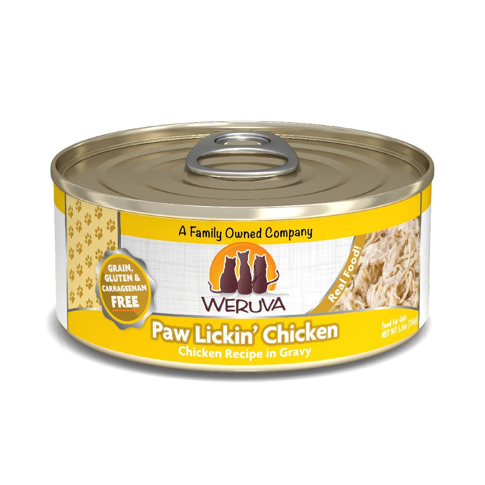 Weruva Canned Cat Food - Paw Lickin' Chicken - lifestyle image with pet in South Africa