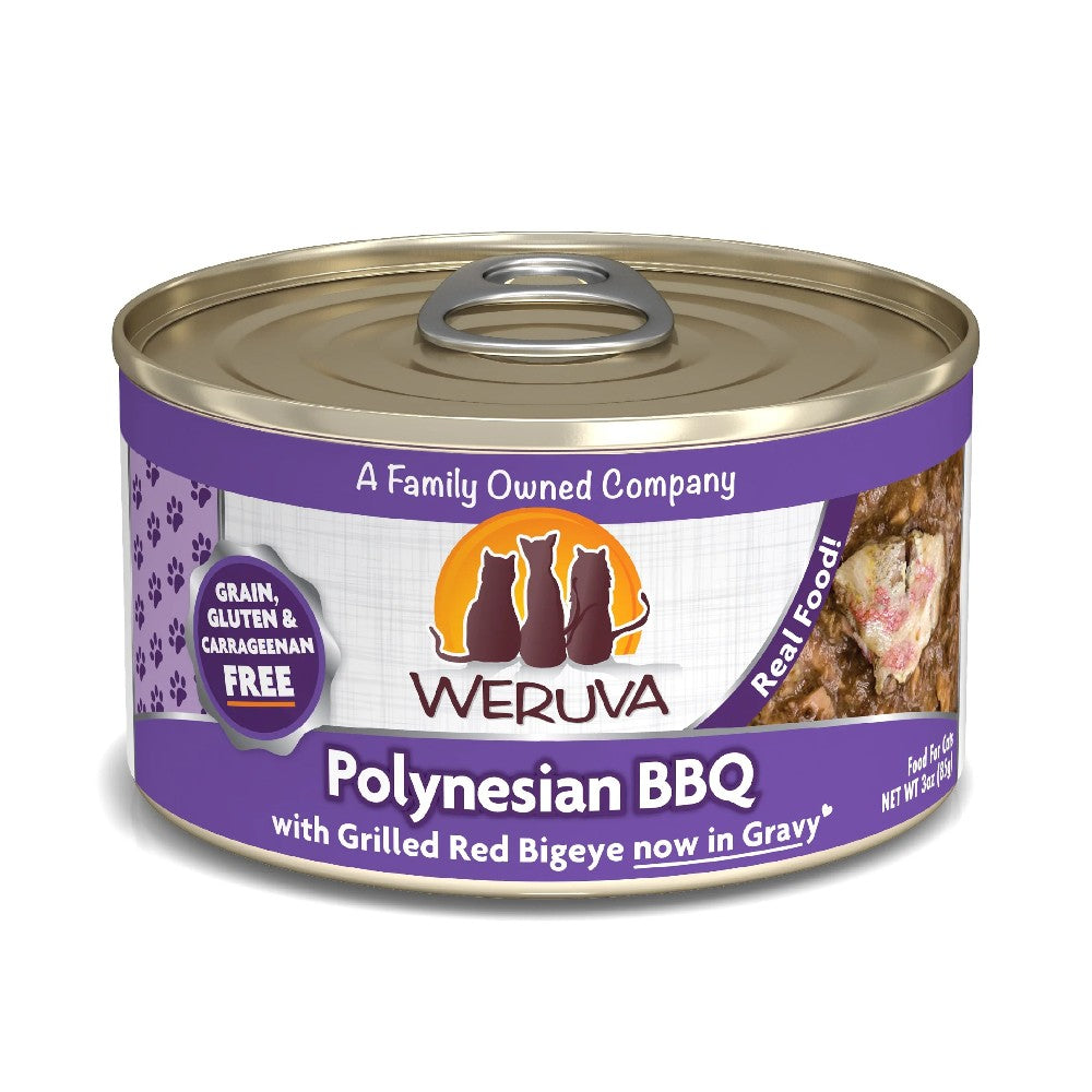 Weruva Canned Cat Food - Polynesian BBQ - lifestyle image with pet South Africa shoppers