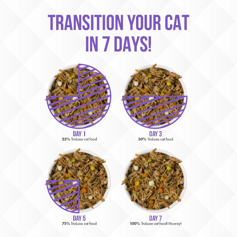 Weruva Canned Cat Food - Steak Frites - lifestyle image with pet pet supplies South Africa