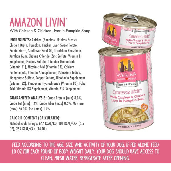 Weruva Canned Dog Food - Amazon Livin' - lifestyle image with pet available in South Africa