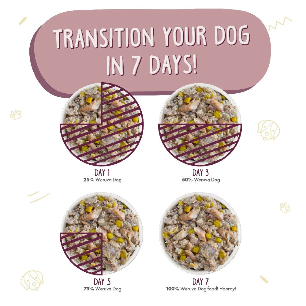 Weruva Canned Dog Food - Hot Dayam! - lifestyle image with pet South Africa retail