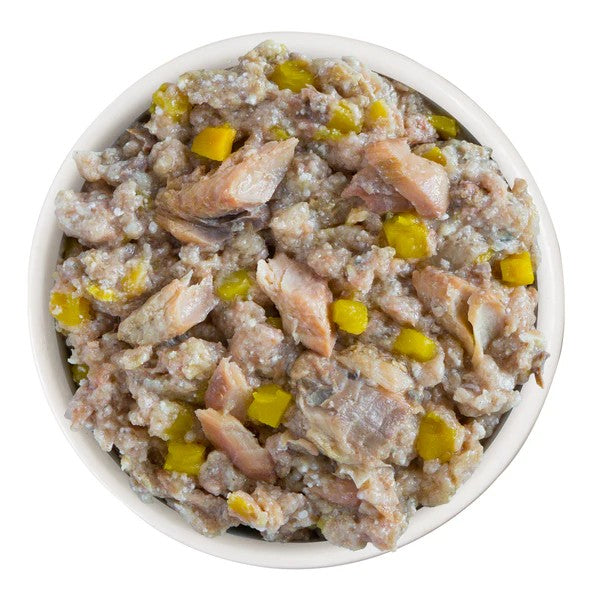 Weruva Canned Dog Food - Hot Dayam! - lifestyle image with pet SA
