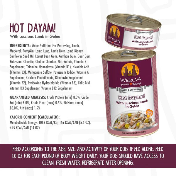 Weruva Canned Dog Food - Hot Dayam! - lifestyle image with pet available online in South Africa