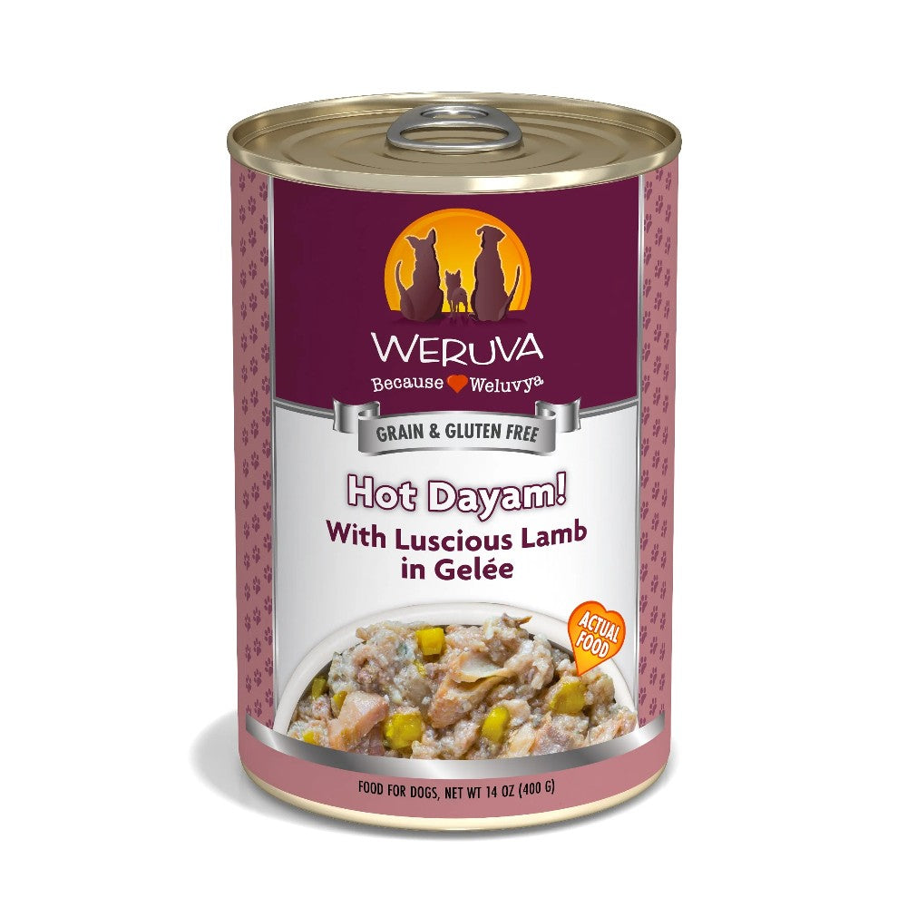Weruva Canned Dog Food - Hot Dayam! - lifestyle image with pet shop online South Africa
