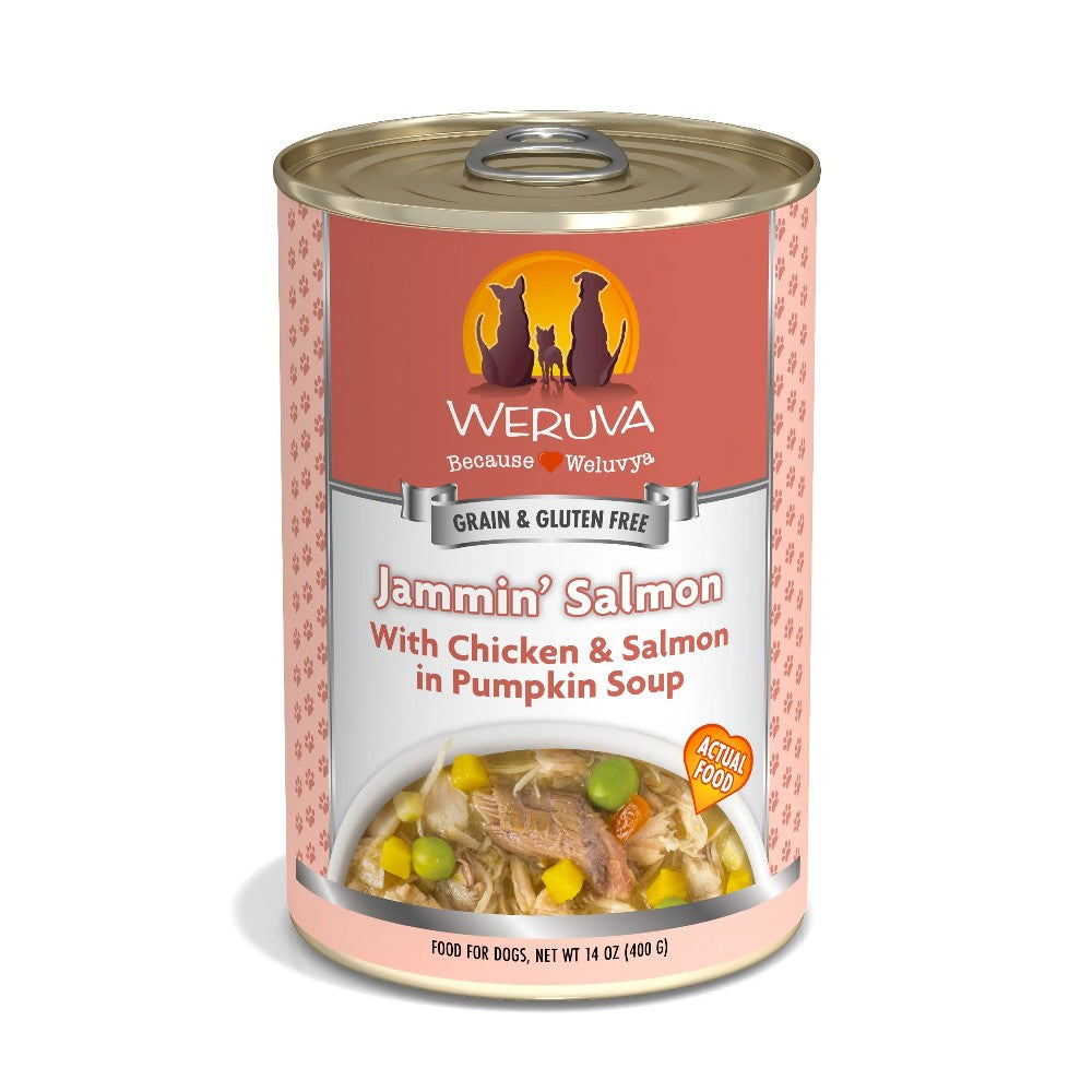 Weruva Canned Dog Food - Jammin' Salmon - lifestyle image with pet nationwide South Africa