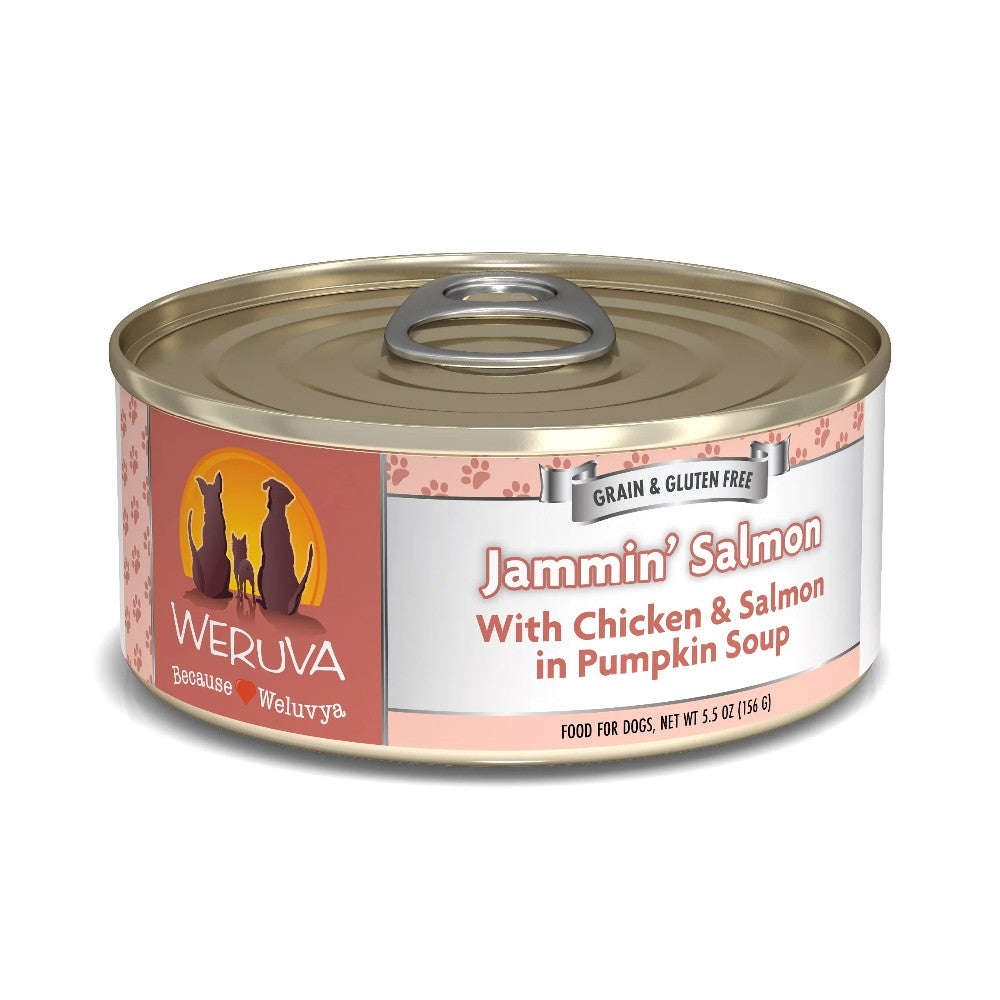 Weruva Canned Dog Food - Jammin' Salmon - lifestyle image with pet Canine & Co South Africa