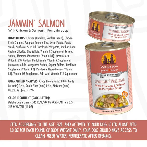 Weruva Canned Dog Food - Jammin' Salmon - lifestyle image with pet online in South Africa
