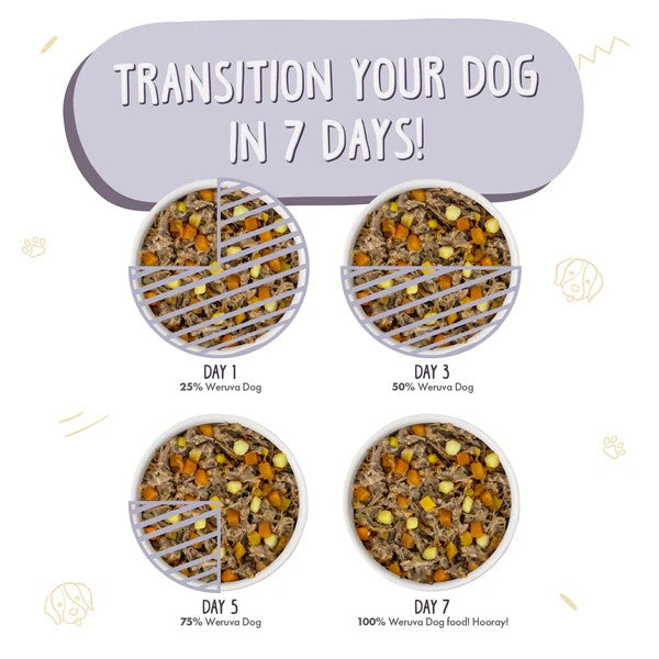 Weruva Canned Dog Food - Steak Frites - lifestyle image with pet online in South Africa