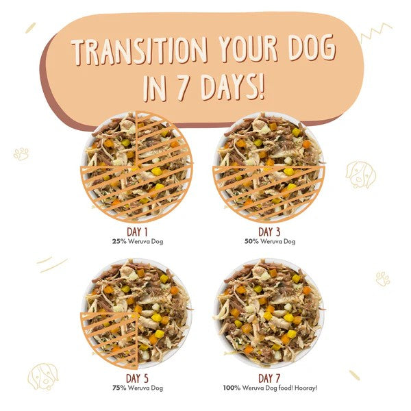 Weruva Canned Dog Food - Wok the Dog - lifestyle image with pet South Africa ecommerce