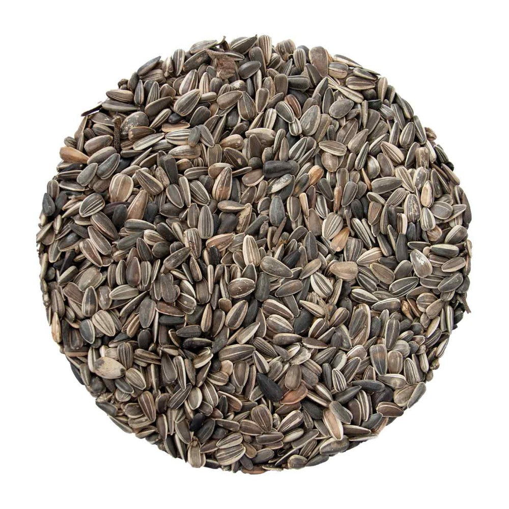 Westerman's Striped Sunflower Bird Seed