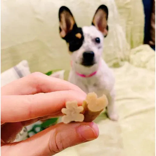 Whimzees Puppy
