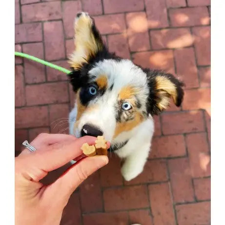 Whimzees Puppy