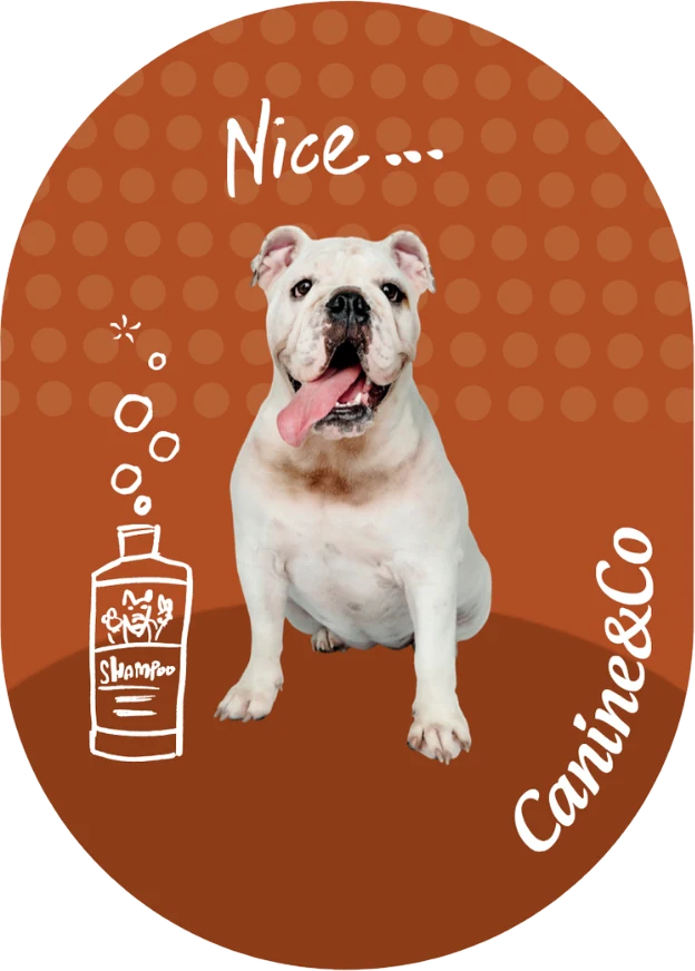 Bulldog fridge magnet