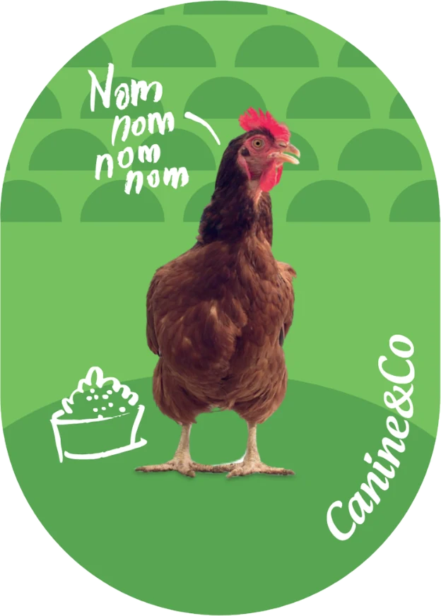 Chicken top half