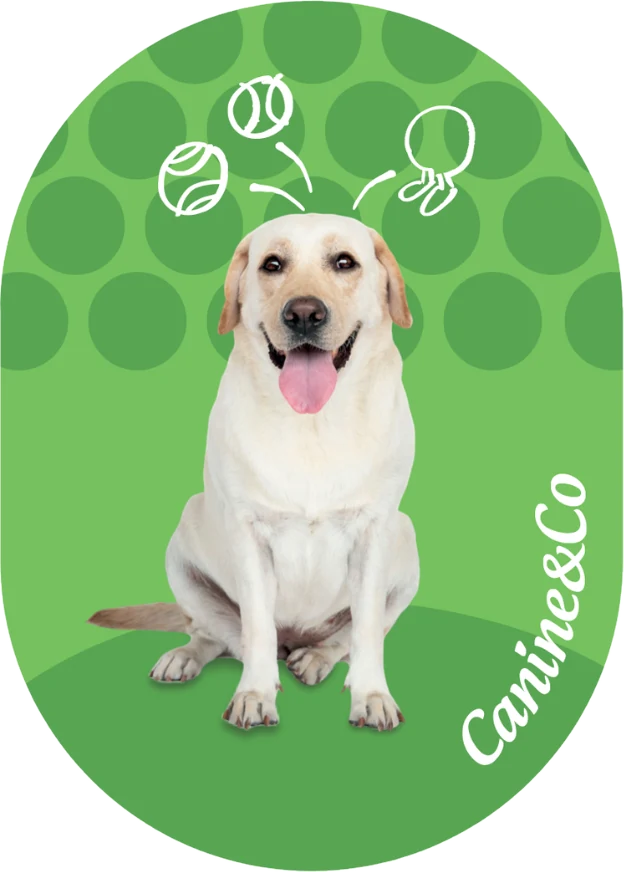 Labrador fridge magnet