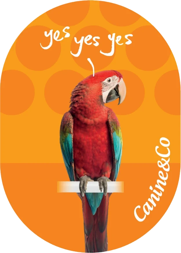 Parrot bottom half