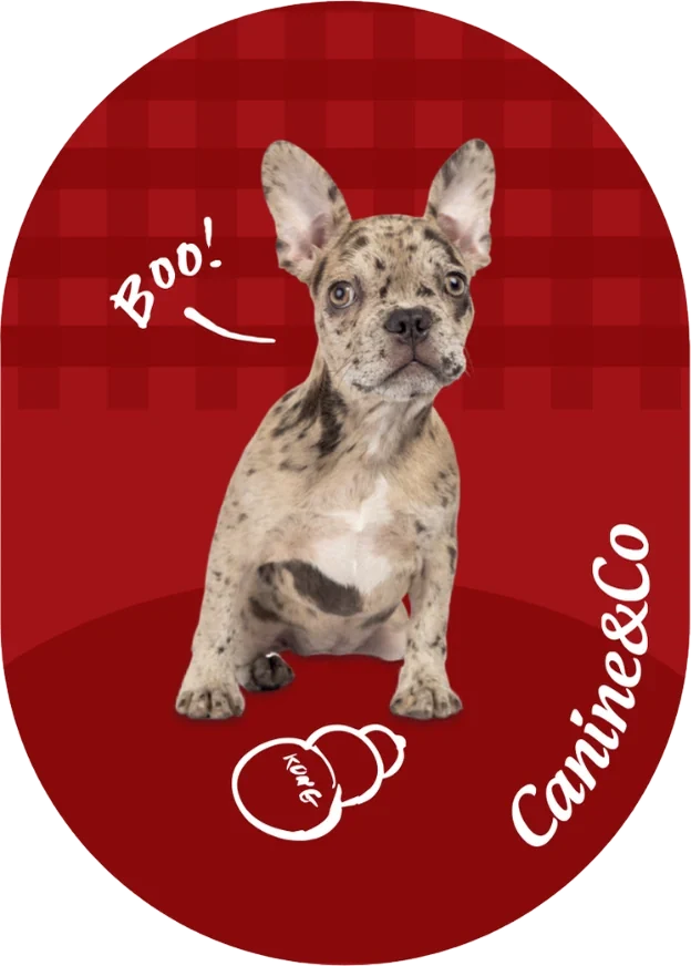 Frenchie fridge magnet