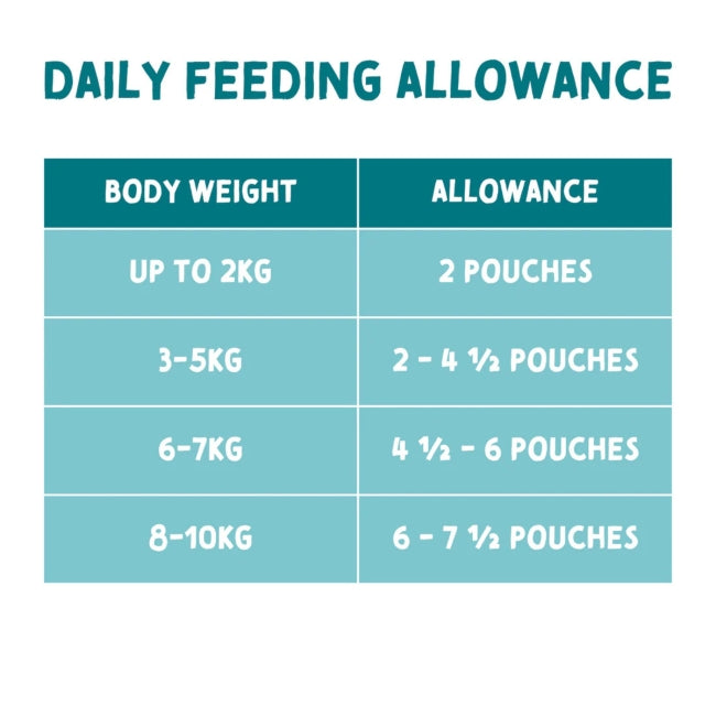 Naturo Adult Grain Free Turkey & Veg in Gravy Wet Dog Food   | Canine & Co