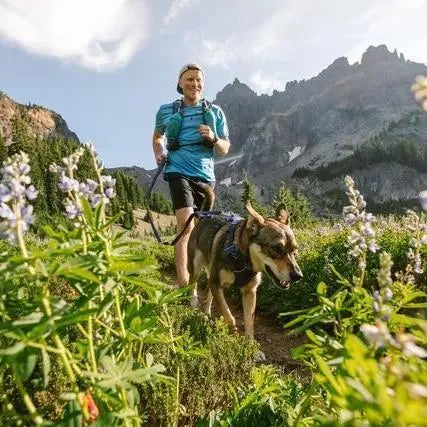 Man hiking with a dog through wildflowers in a scenic mountain landscape.