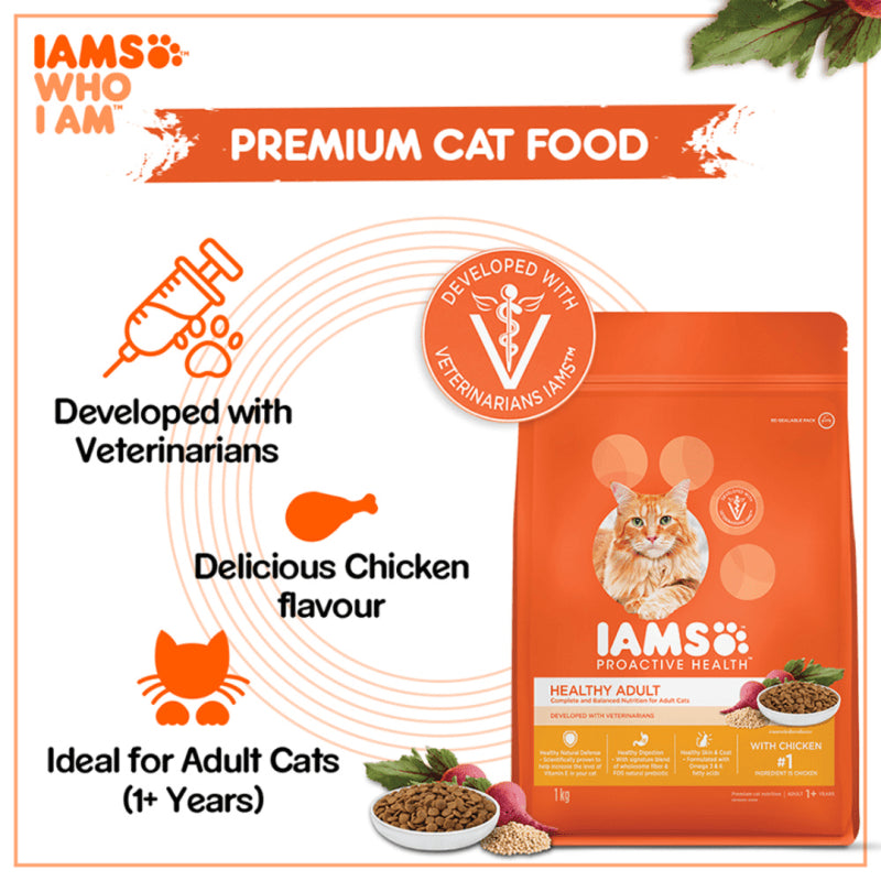 Iams Healthy Adult with Chicken - lifestyle image with pet delivered in South Africa