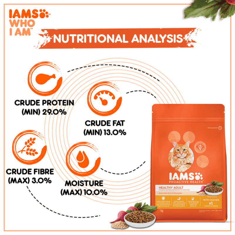 Iams Healthy Adult with Chicken - lifestyle image with pet SA