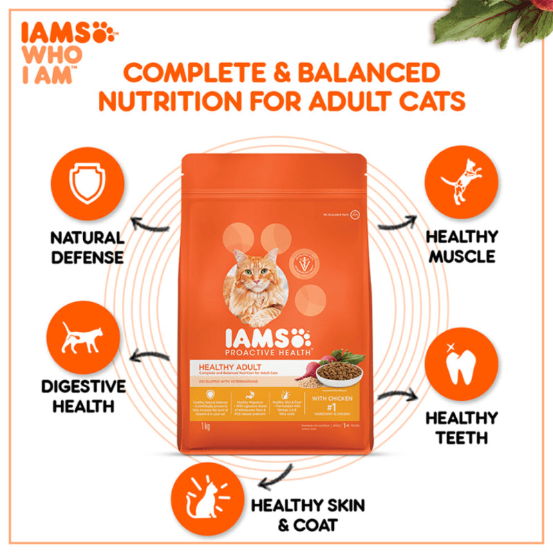Iams Healthy Adult with Chicken - lifestyle image with pet South Africa nationwide