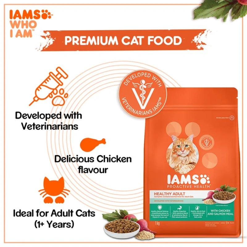 Iams Healthy Adult with Chicken & Salmon - lifestyle image with pet order online South Africa