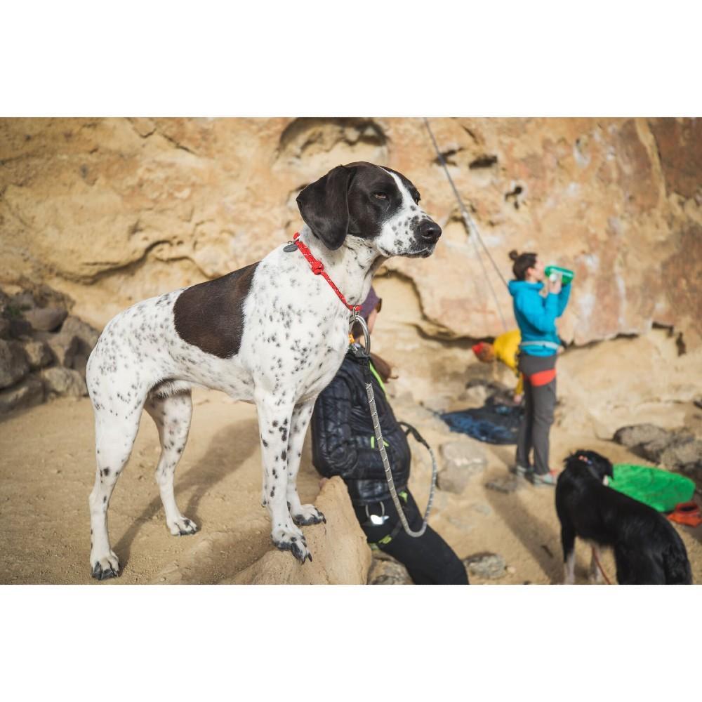 Ruffwear Knot-a-Collar (Old Colours) - product detail image delivered in South Africa