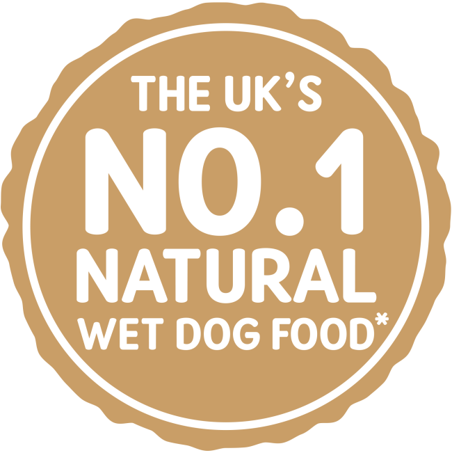 Naturo Turkey with Rice and Vegetables Senior Wet Dog Food   | Canine & Co