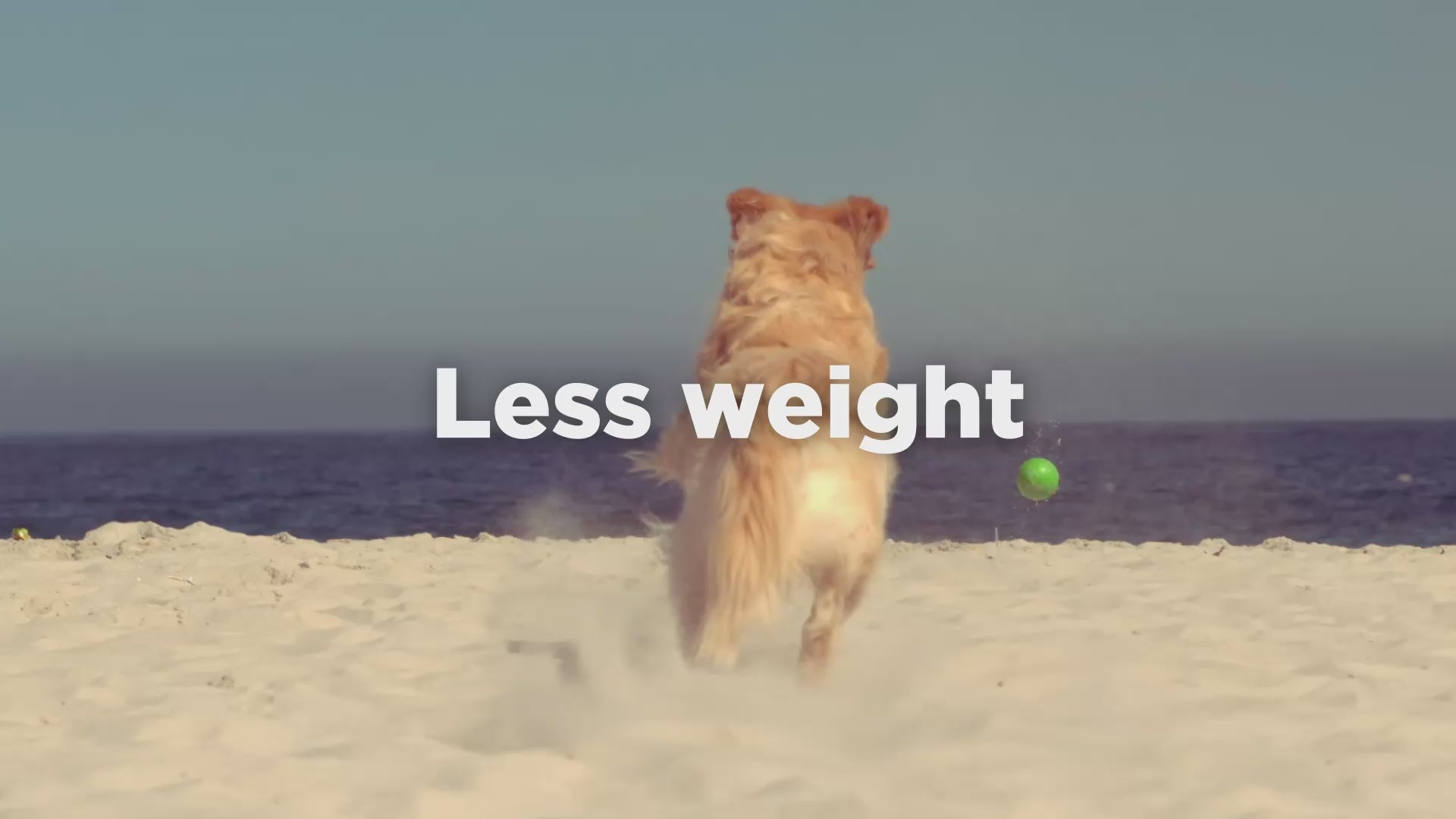 Load video: Hill&#39;s Science Plan Perfect Weight &amp; Active Mobility Medium Chicken Dry Dog Food
