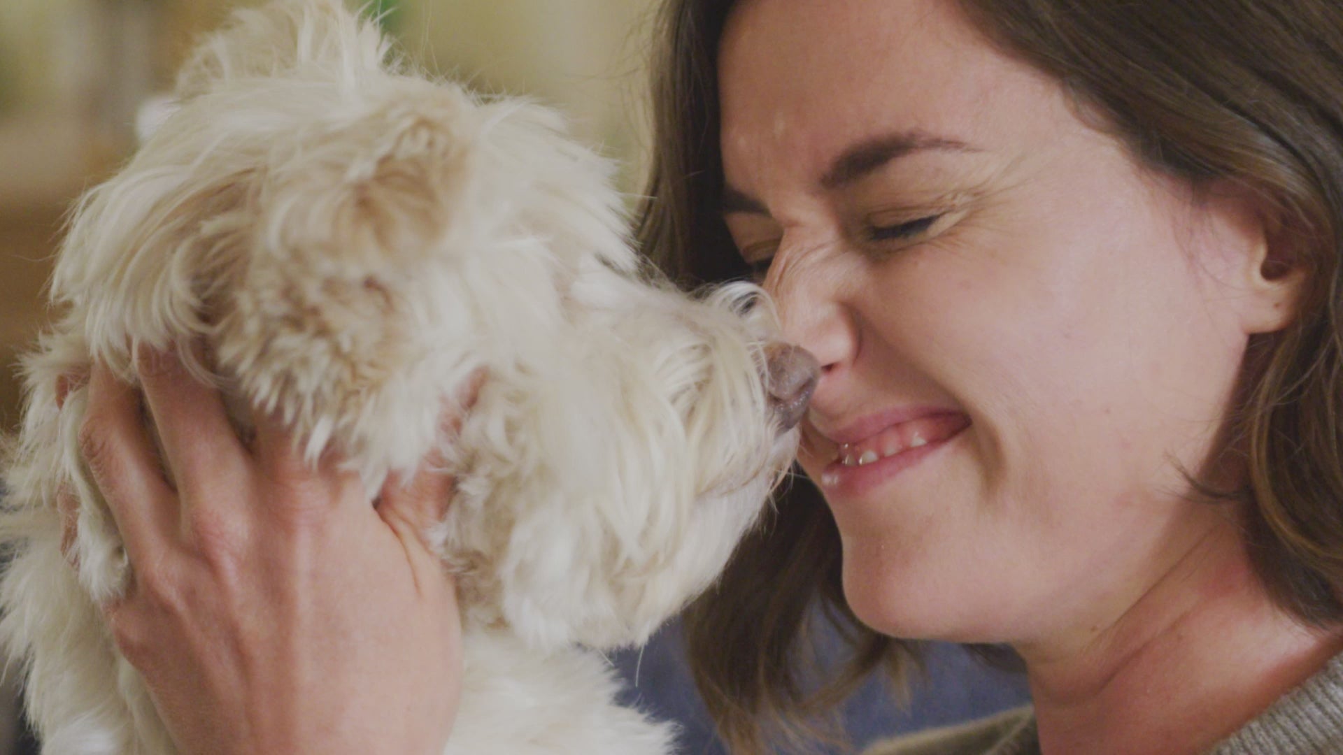 Load video: Hill&#39;s Science Plan Hypoallergenic Adult with Salmon Wet Dog Food