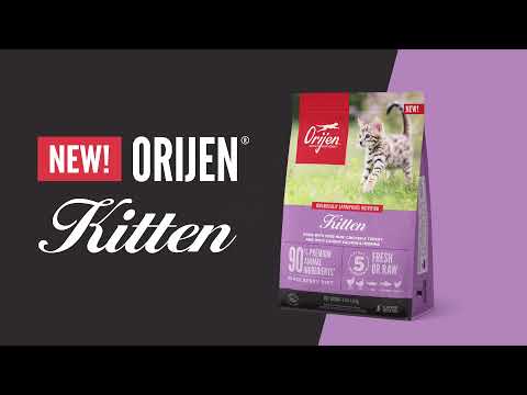 Orijen Kitted Food New Video