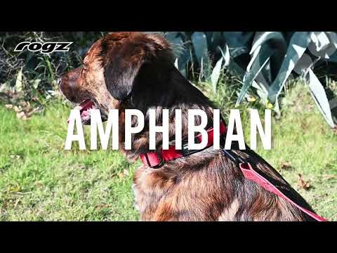 Rogz Amphibian Control Collar Video