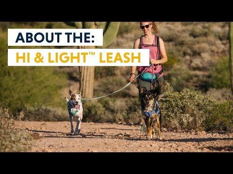 About The Hi & Light Leash Video