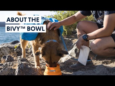 Ruffwear Bivy Collapsible Travel Dog Bowl Video