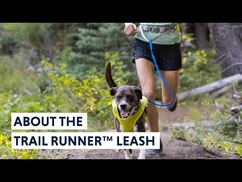 About The Ruffwear Trail Runner Dog Leash Video