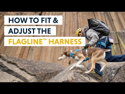 How To Fit & Adjust The Flagline Harness