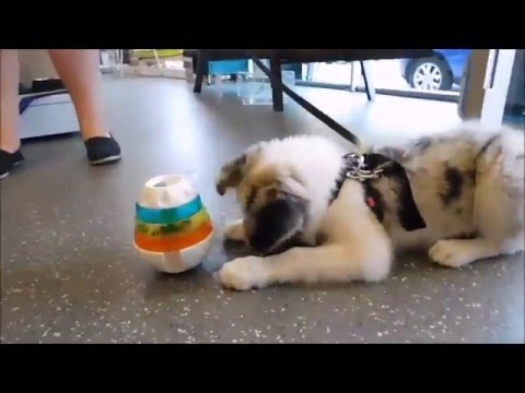Load video: 