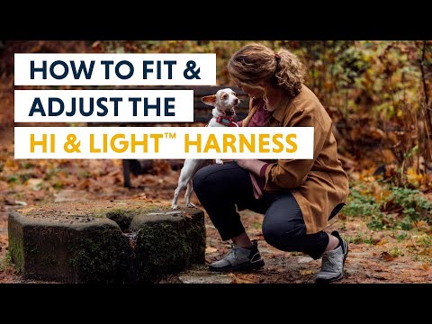 How to Fit & Adjust The Hi & Light Harness Video